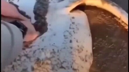 วันนี้มาทำปลาตัวเล็กๆ ให้ทุกคนดูกัน!