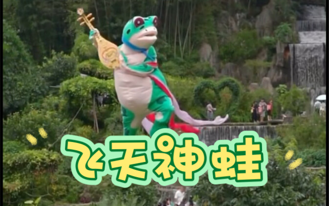 I was startled—those toads can actually fly, even cooler than sows climbing trees!