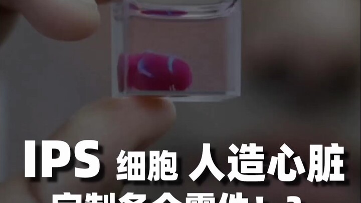 Tế bào IPS ấp nở trái tim nhân tạo! Triển lãm Thế giới Osaka tiết lộ “bảo bối”: Công nghệ tế bào IPS