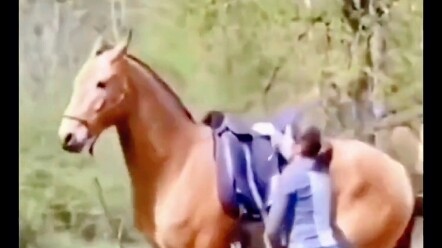 تقفز الفتاة باستمرار، تشير إلى الحصان: “انخفض قليلًا، لا أستطيع الصعود!” فيفهم الحصان...