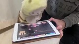 [Hài hước] Cho em gấu bông chơi game trên máy tính bảng