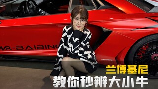 Ayo, saudara-saudara! Ajari kalian cara membedakan Lamborghini besar dan kecil dalam satu detik.