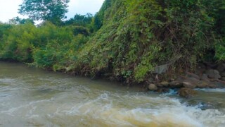 Phượt luôn #47 - Ốc Bưu Nướng Sốt Me  - Ra Đồng Bắt Ốc Về Làm Ẩm Thực