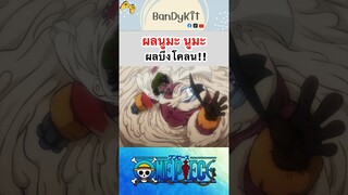 วันพีช:ผลโคลน #shorts #onepiece #roblox #bloxfruits #tiktok #fypシ #fyp #anime #gaming #วันพีช