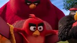 angry birds part ll