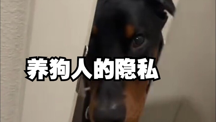 Setelah punya anjing, ruang pribadi kita bakal hilang