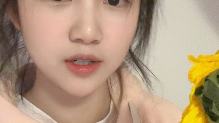 Tôi và cây hướng dương của tôi