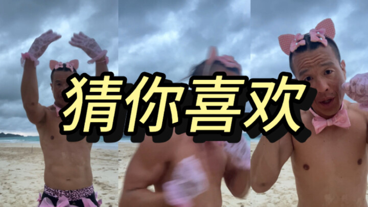 القطة الصغيرة الكيوت مياو مياو تايكوندو باليد المجردة