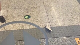 我的鞋.......最后还被踢了一脚