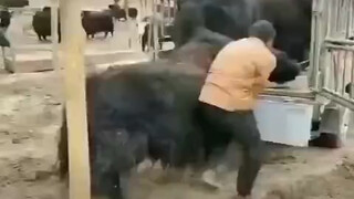 只要思想不滑坡