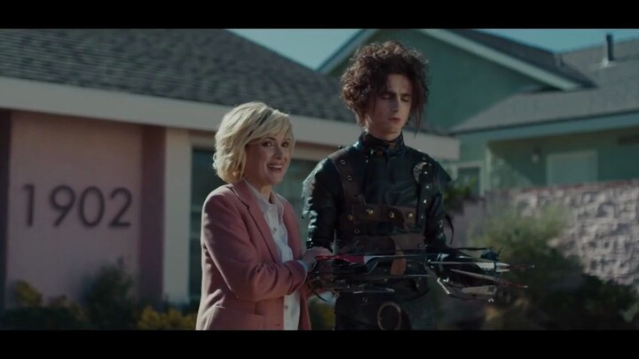 Edward Scissorhands' Troubles