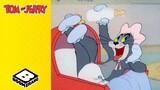 Tom the Baby Cat  | Tom and Jerry | @BoomerangUK