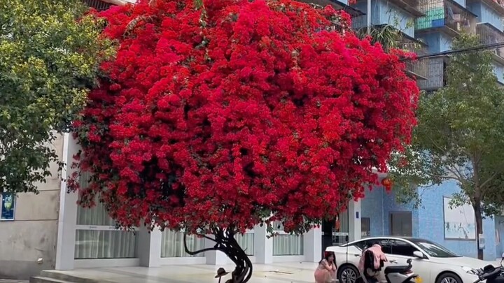 “I got healed by all the beauty in this world without even realizing it～”