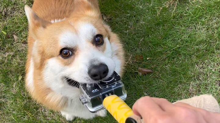 ที่นี่มีคนนำวิดีโอของฉันไปเผยแพร่ ฉันเลยมาแล้วค่ะ