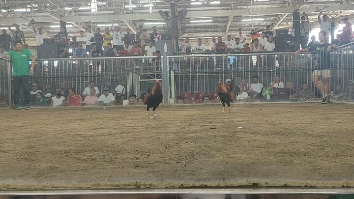 1x winner
