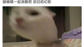 发给你想抽希儿的朋友看
