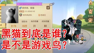 猫和老鼠：黑猫喵哥到底是谁？是游戏鸟吗？视频为你们详细解答
