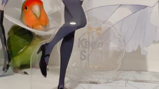 很中意这里的saku酱[局长的教育手册静态表情包_有色禽类]