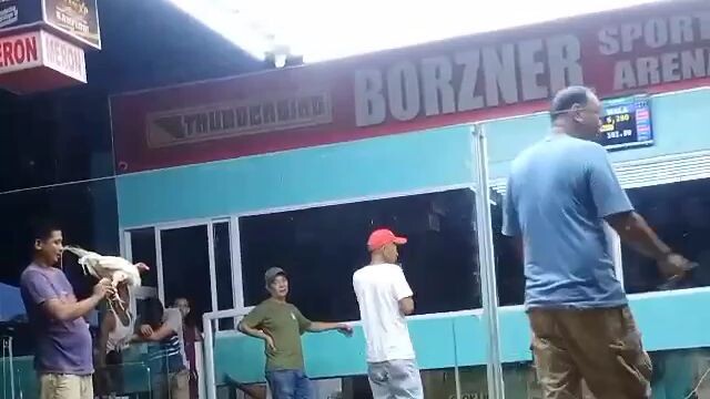 para  champion alisus white hugut lang sa cording blemished right leg na sya dyan