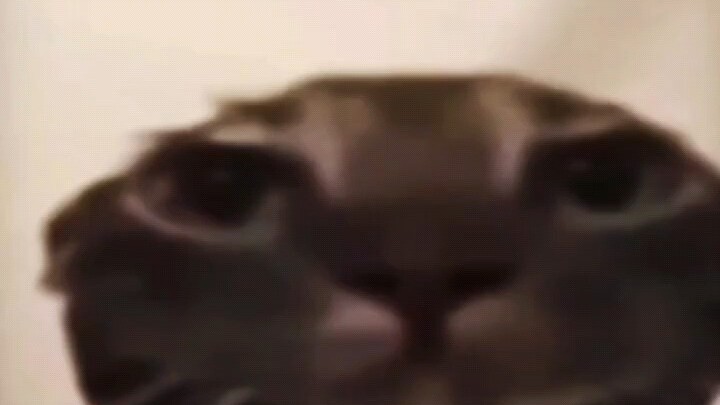 每天一笑 烦恼丢掉