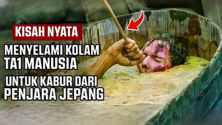 KISAH NYATA, Bertahan Hidup Di Masa Perang Dunia II - Alur Cerita Film Wings of