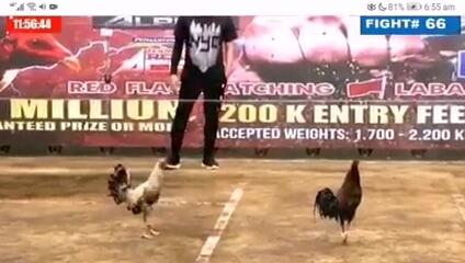 Super WPC fights. Pls Follow for more vid.