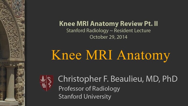 Systematic Interpretation of Knee MRI