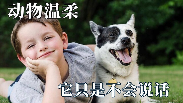 The gentleness of animals can break people’s defenses: but they really understand