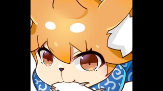 Ws医生