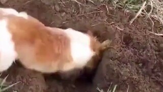 I'm doing this job just to earn a bite to eat.