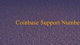 Coinbase Toll free ⬬1-844-788-1529⬬ number