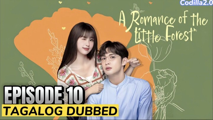 ᗩ ᖇOᗰᗩᑎᑕE Oᖴ TᕼE Little Forest 2022 Episode 10 Tagalog Dubbed HD