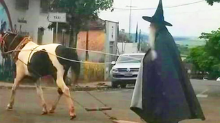 พยายามอย่าหัวเราะ - ช่วงเวลาที่ทำให้ฉันหัวเราะ 🤣🤣