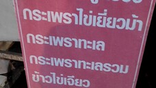 ร้านเจ๊หมวยอาหารตามสั่ง