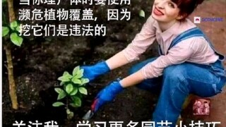 [搞笑图片] 记住，当你埋尸体时要用濒危植物来。。。