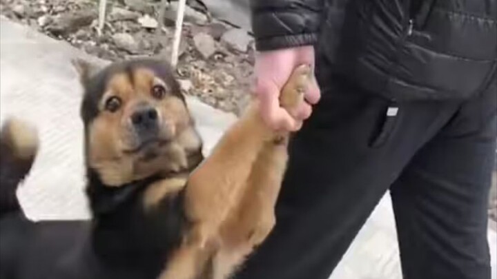 “Oh, poor me, I’m gonna get beaten up.”
