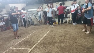 sqc saturday fight