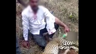 "Another Wu Song!" Man Fights and Kills Leopard with Bare Hands, Protecting His Wife and Children