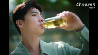 Jinchen tea new advertisement with spokesperson Yang Yang🍃