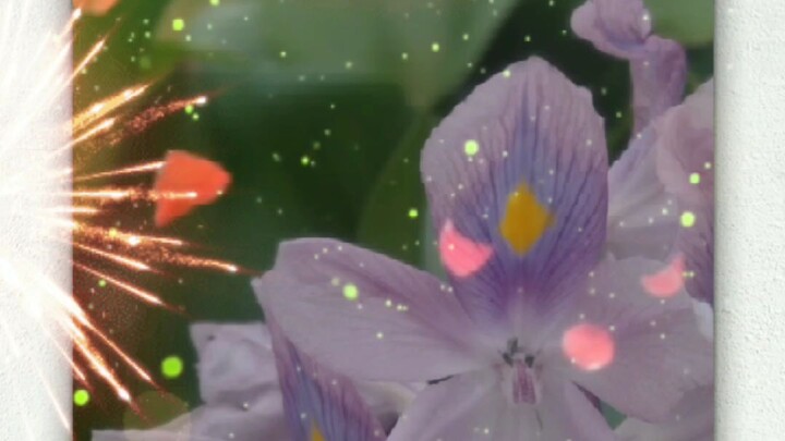 selamat menunaikan tahun baru #imlek2023 dari saya