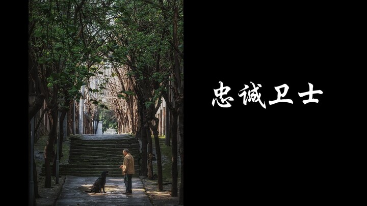 Trùng Khánh | Người vệ sĩ trung thành