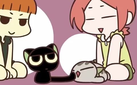 Huangshou: Meow~ Xiaohei: Woof?