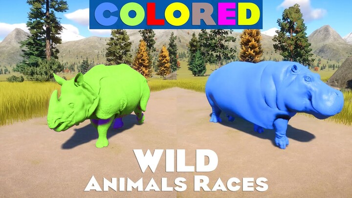 Elephant, Hippo, Indian Rhino, Zebra, Lion & All Colored Wild Animals Speed Races in Planet Zoo 🦁🦏🐘
