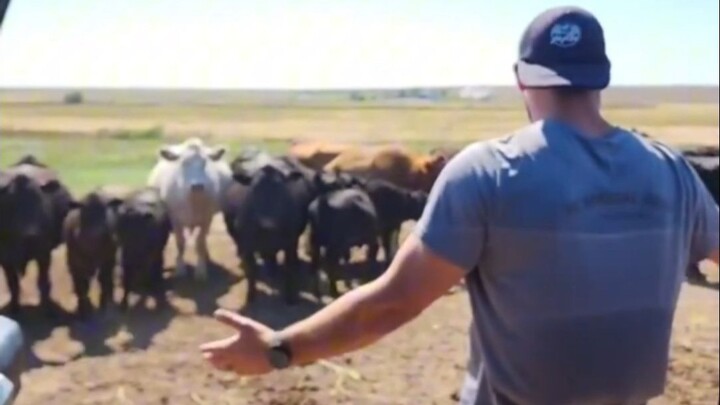 Kakak dari luar negeri menjelaskan kepada para penggemar mengapa air tiba-tiba mati