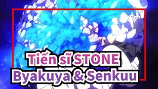 Tiến sĩ STONE|Byakuya & Senkuu