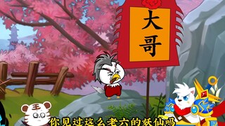 演技派黑羽，为了抱上楼阿伟的大粗腿，果断把主人给卖了！