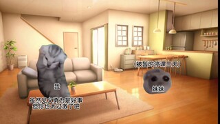 一生都在蹲局子边缘的我妹【猫meme】