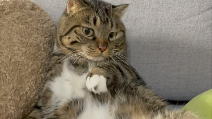 จวน: ที่นั่นห้าม!!!