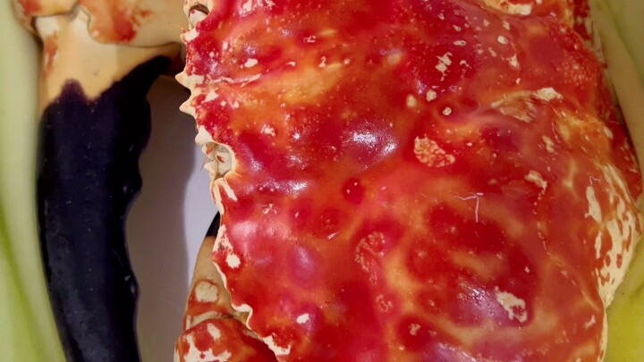 Seniman acar mentah pergi dinas demi kepiting kaisar ukuran super besar!