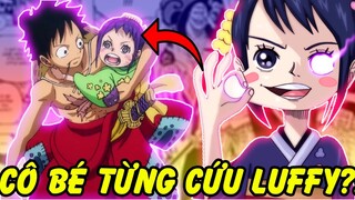 O-Tama Mạnh Cỡ Nào? Những Sự Thật Thú Vị Về Cô Bé Từng Cứu Luffy